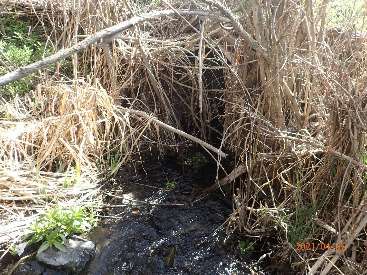 Upper Pine Hollow Upper Culvert After Work