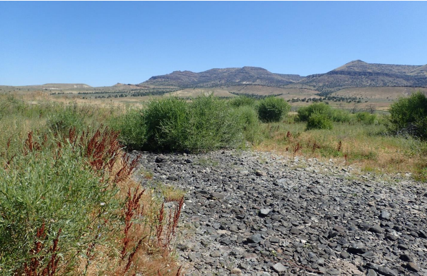 Dry riverbed in the foreground with rocky terrain, green shrubs, and distant mountains under a blue sky.