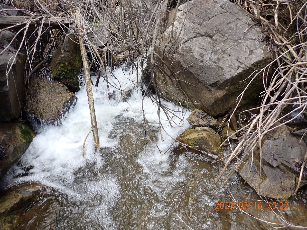 Stream flowing over rocks with surrounding bare branches.