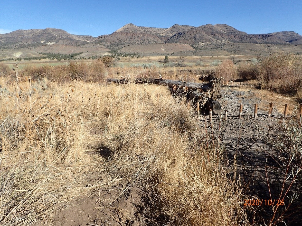 Dry grassland with a dilapidated wooden fence, a muddy trench, and hills in the background.