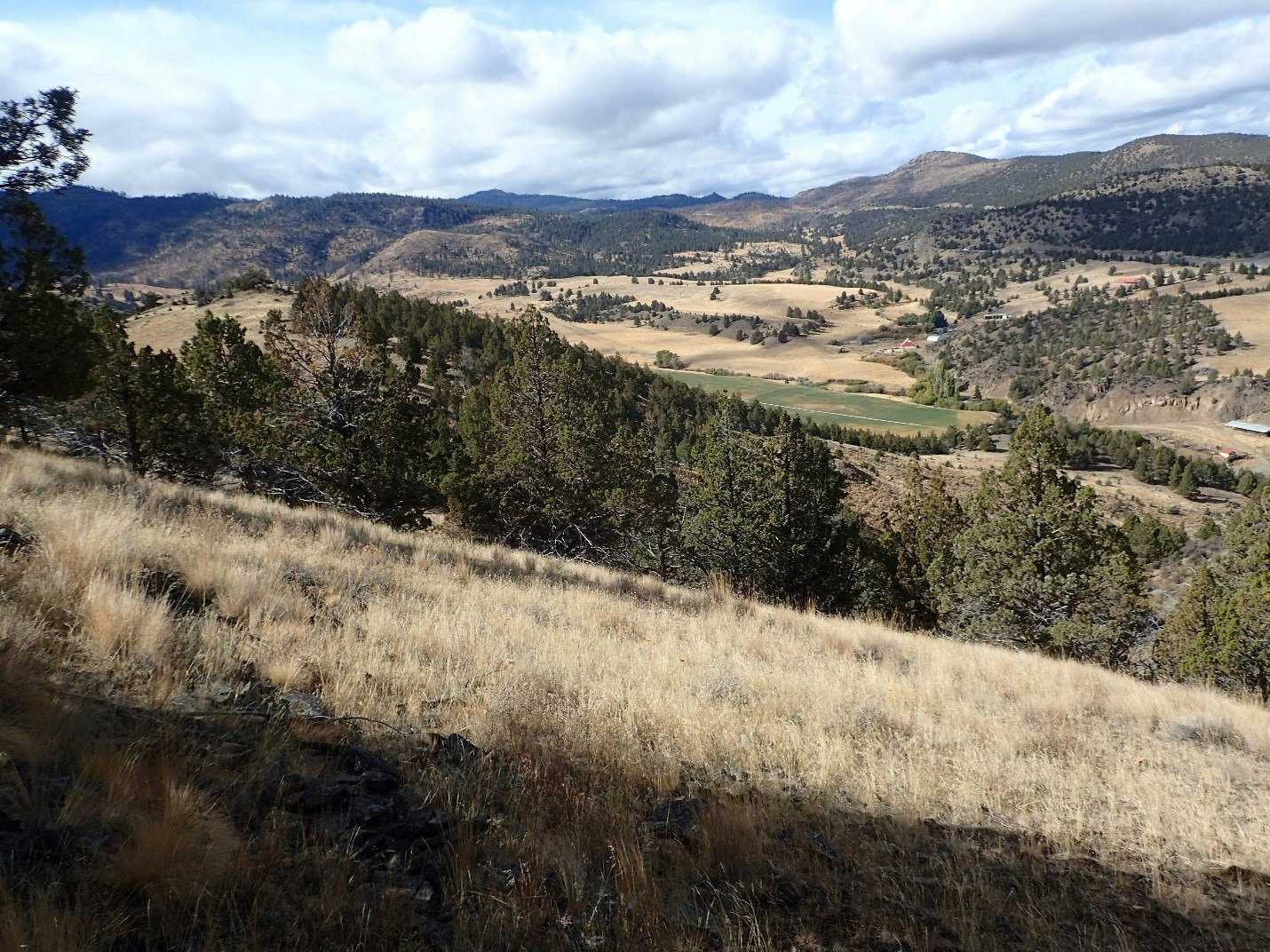 Rolling hills, trees, grassland, and a few buildings in a rural valley. Cloudy sky above.