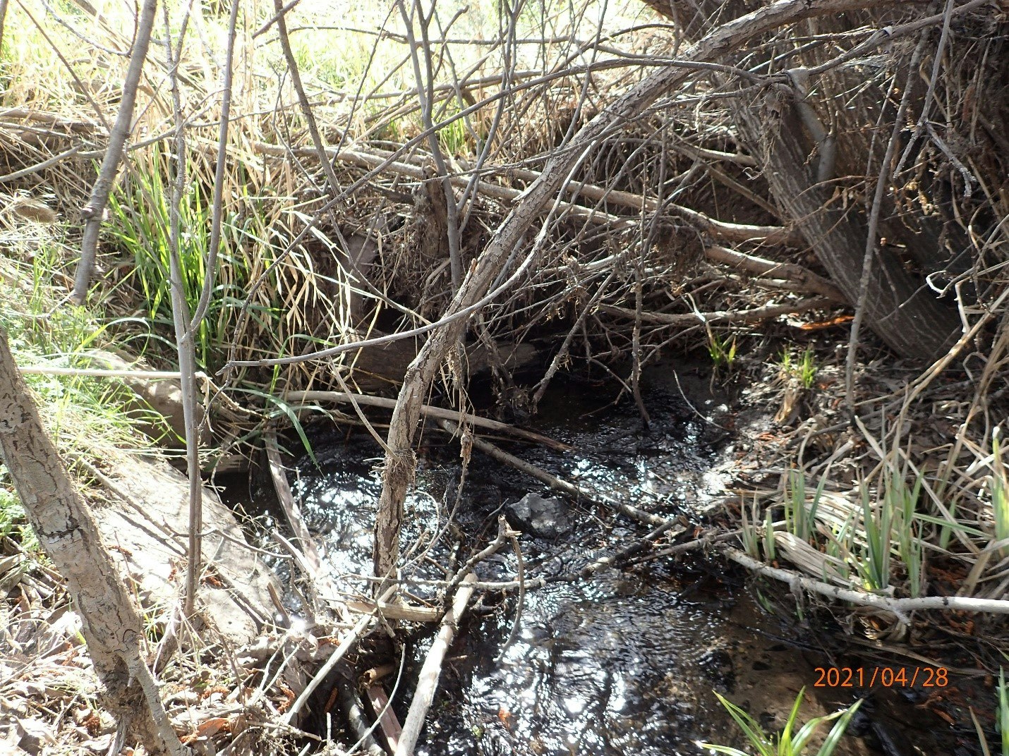 Upper Pine Hollow Middle Culvert Before Work