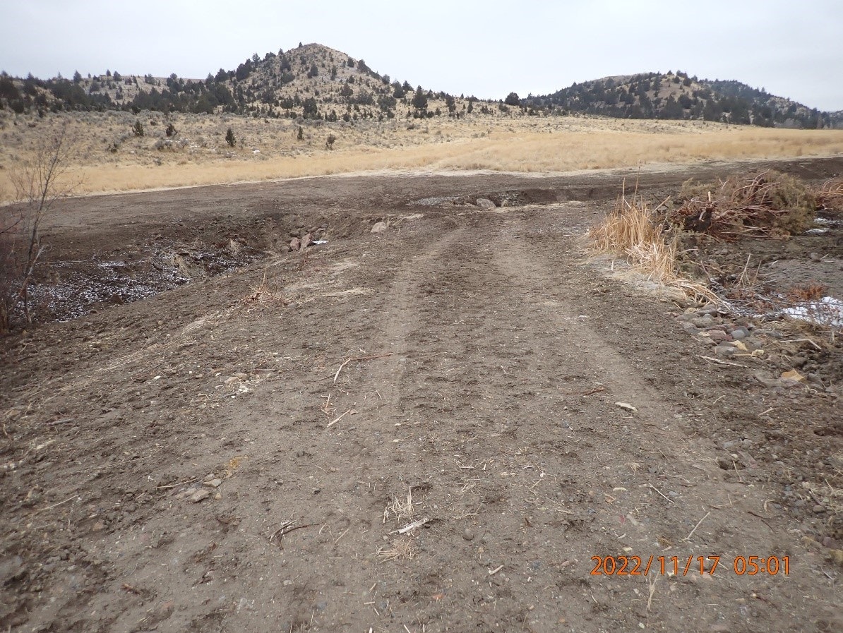 A dirt path leading towards hills with sparse vegetation under a cloudy sky. Timestamped "2022/11/17 05:01".