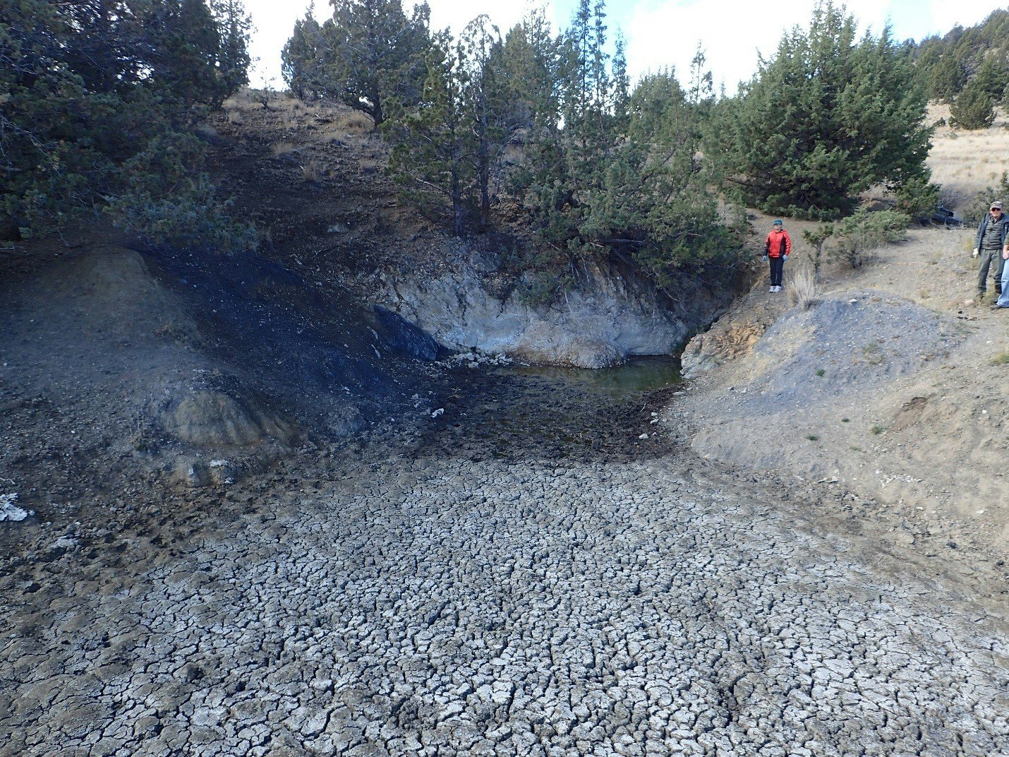 A dried up lakebed with cracks, surrounded by trees, with a few people observing the area.
