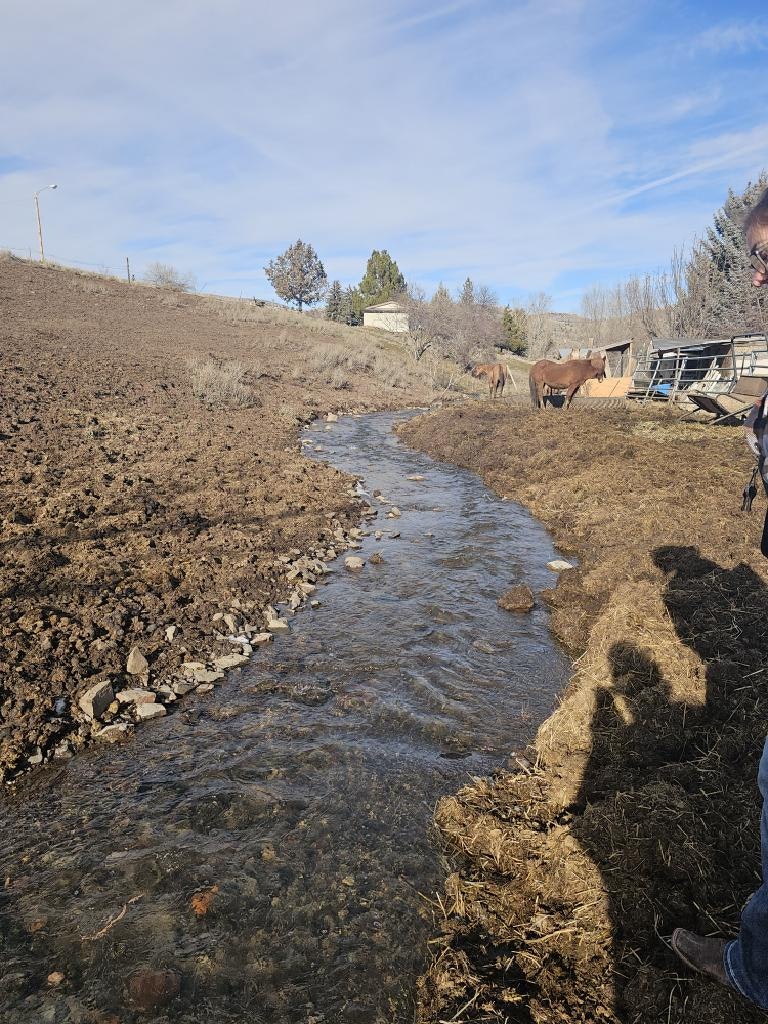 A small stream runs through a muddy field with two horses and several trees in the background under a blue sky.