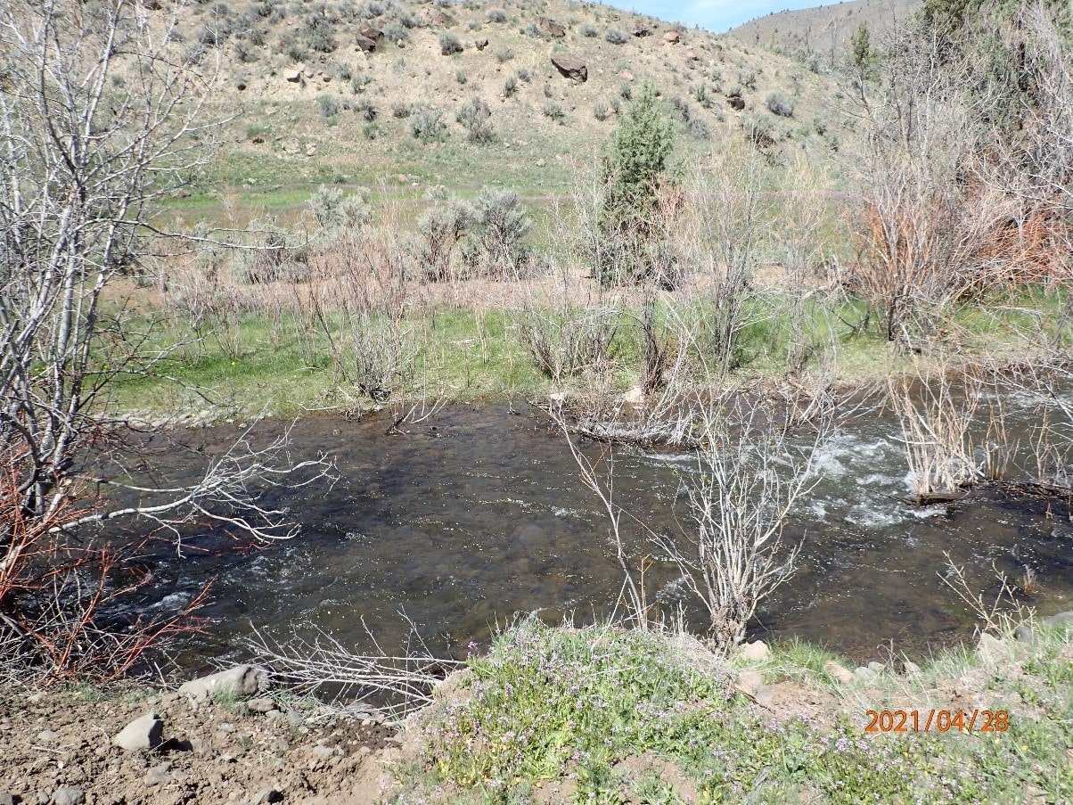 A serene stream surrounded by sparse vegetation and barren shrubs with a hill in the background. Date stamped: 2021/04/28.