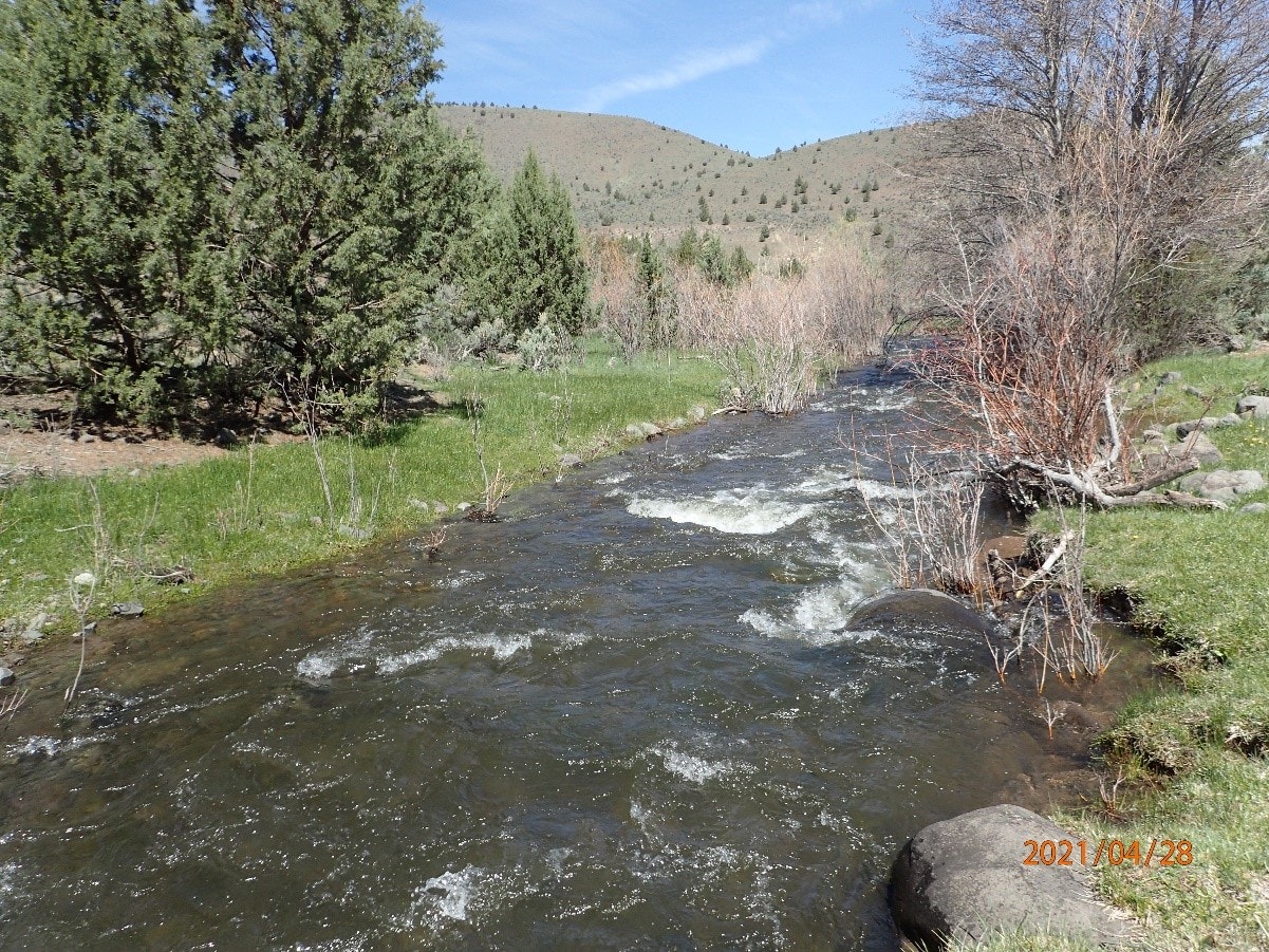 Rushing stream with surrounding greenery and date "2021/04/28" stamped in corner.