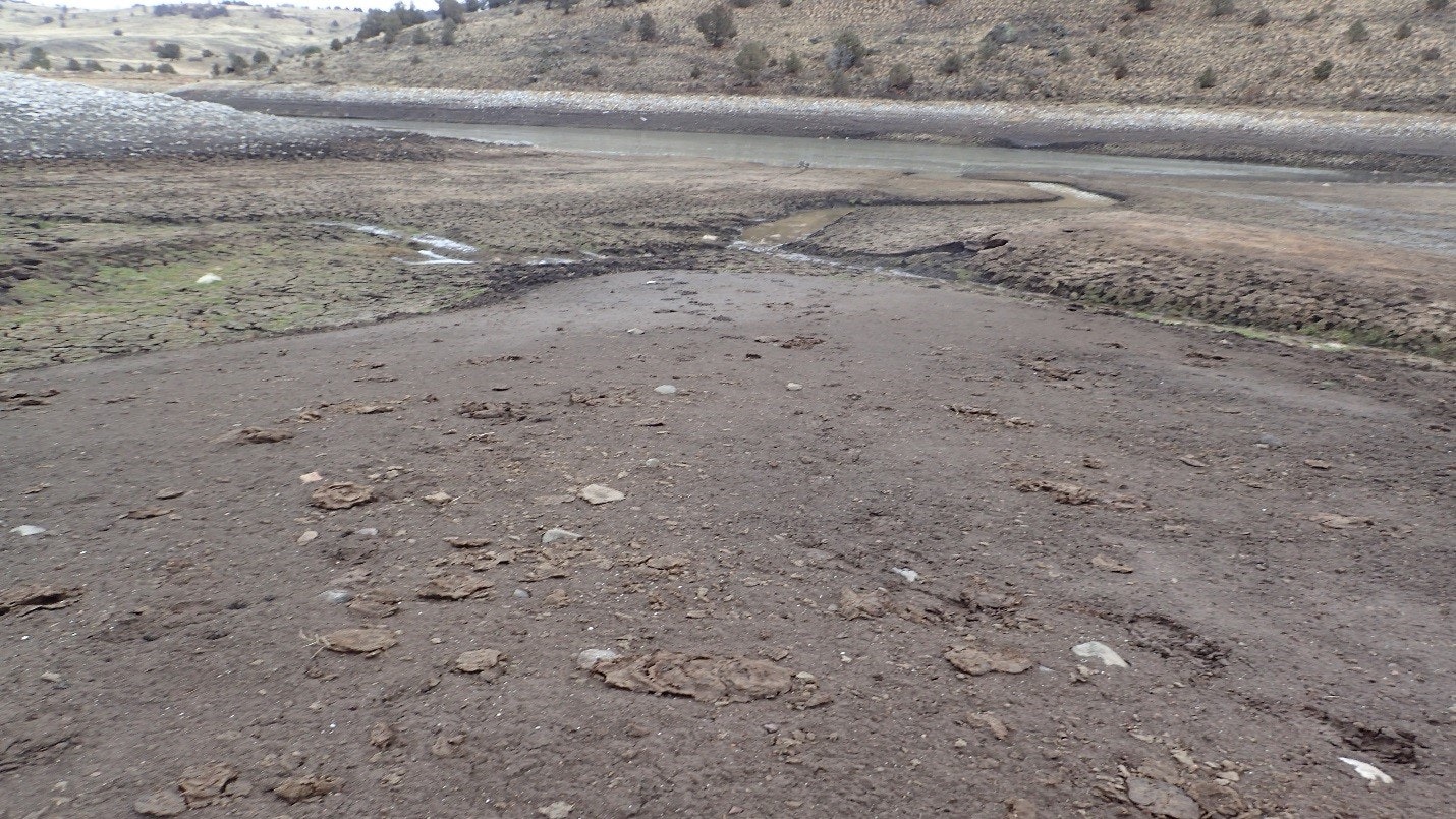 A dry riverbed with sparse water and scattered rocks.