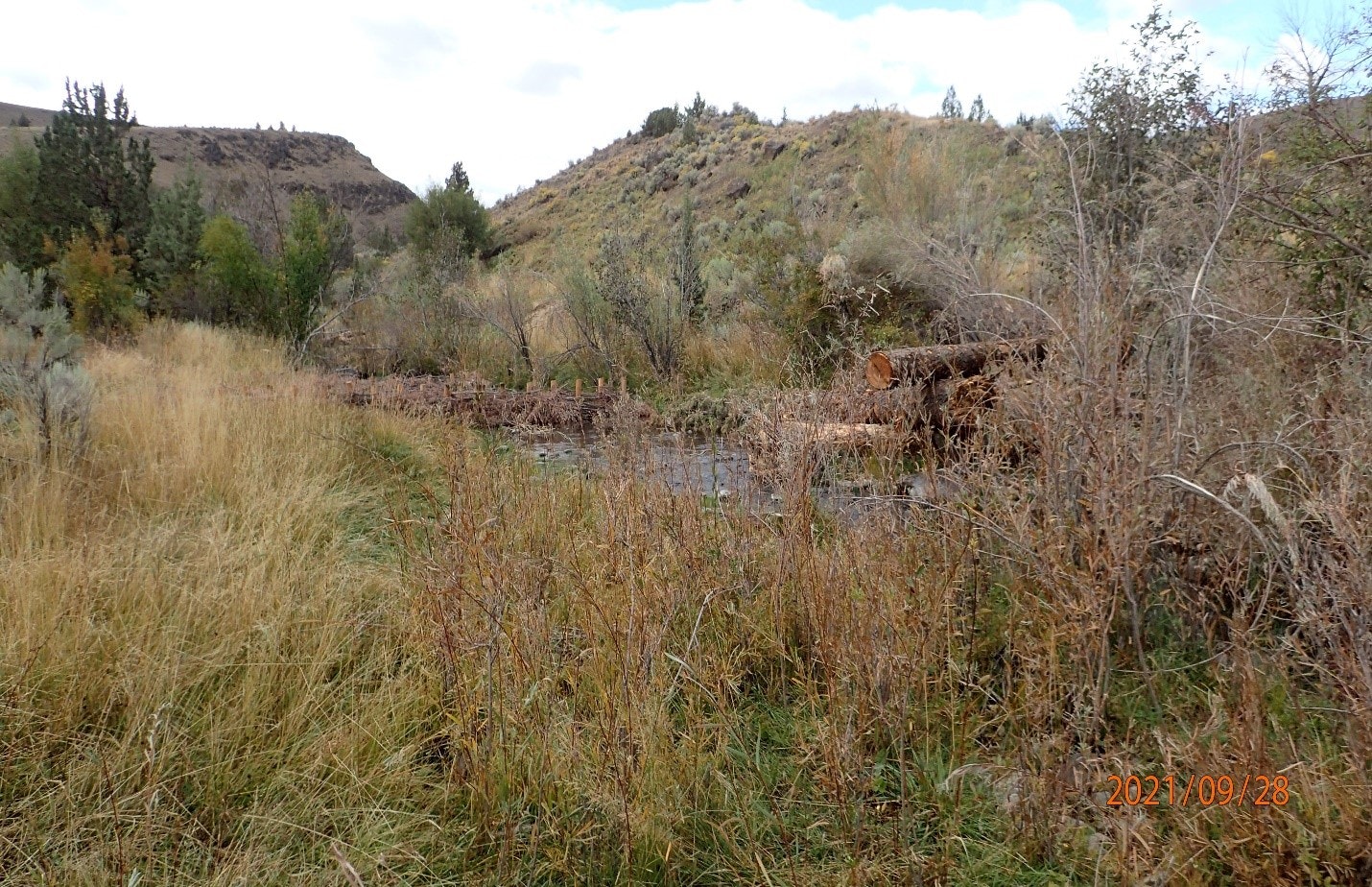 A natural landscape featuring grass, shrubs, a small pond, and felled logs with hills in the background. Date stamp: 2021/09/28.