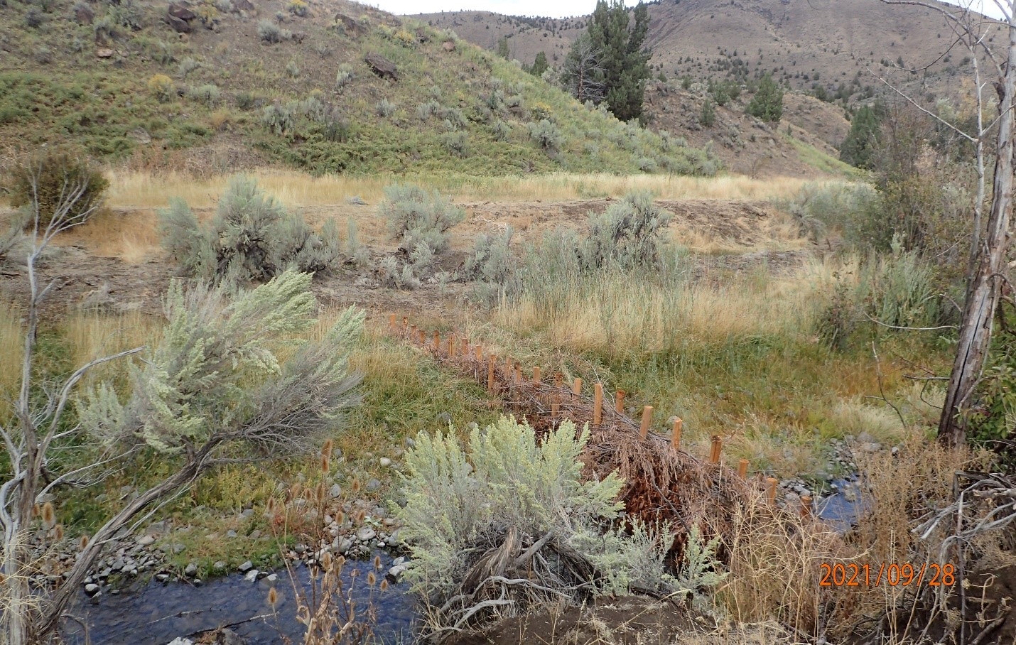 A small stream with shrubs, wooden stakes, and grasses against a backdrop of rolling hills and a date stamp.