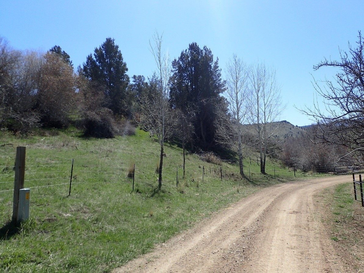 A dirt road flanked by fences and trees under a clear blue sky.