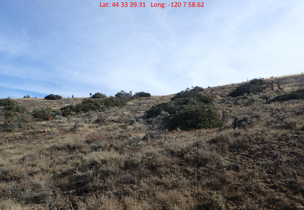 Dry grassy landscape with shrubs under a blue sky, GPS coordinates displayed.