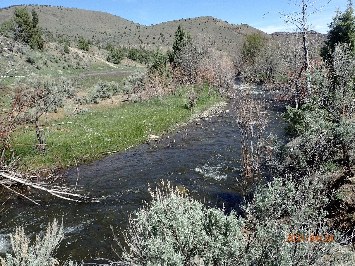 May contain: nature, outdoors, wilderness, plant, vegetation, creek, stream, water, land, grass, and tree