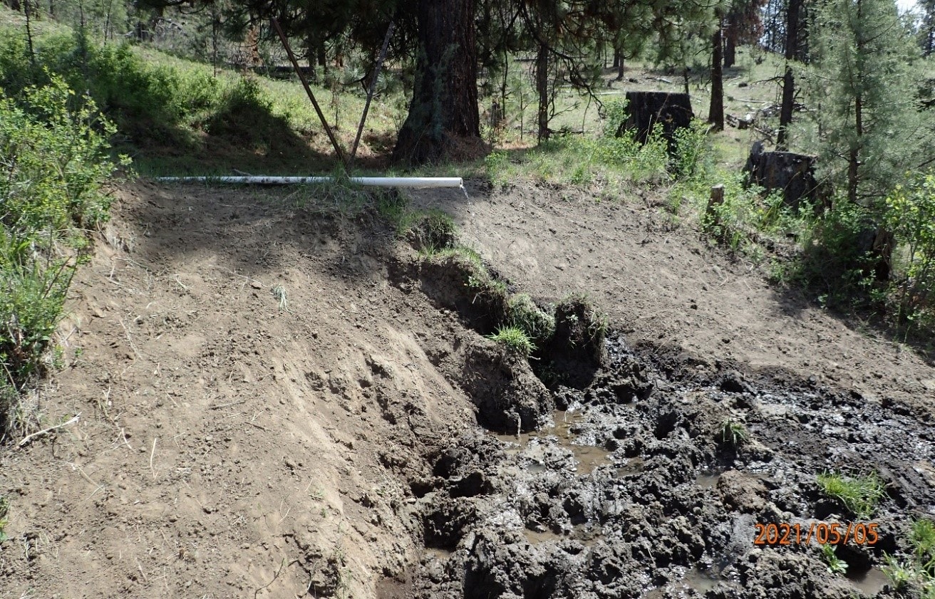 A forested area with a dirt path and a muddy section, possibly caused by vehicle tracks or water erosion.