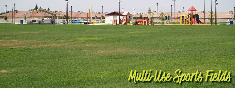 A green field with a playground, sports facilities, and neighboring buildings, labeled "Multi-Use Sports Fields."
