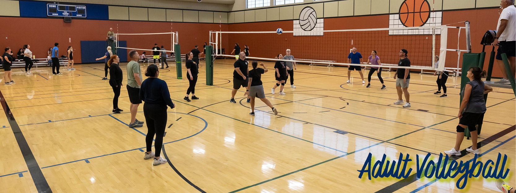 An indoor gym with adults playing volleyball. A net divides the court, and there are players, a referee, and an "Adult Volleyball" text.