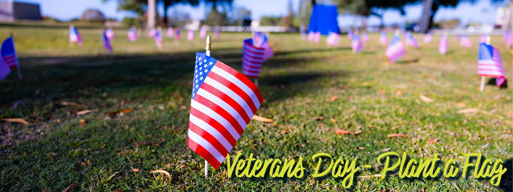 Small American flags planted on a lawn for Veterans Day with the text "Veterans Day - Plant a Flag".