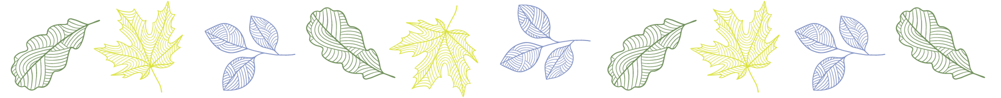 Illustrated leaves in green, yellow, and blue with a striped pattern on a black background.