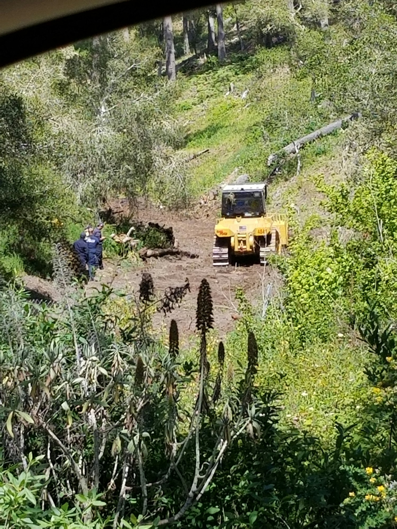 May contain: bush, plant, vegetation, person, human, transportation, and vehicle