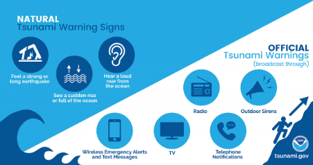Natural and official tsunami warning signs with broadcast methods: radio, TV, sirens, calls, and text alerts.