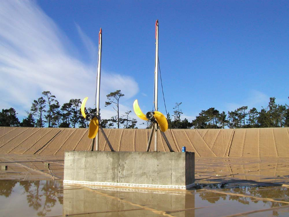 Two banana-shaped sculptures on poles with a reflective water surface and a treeline against a blue sky.