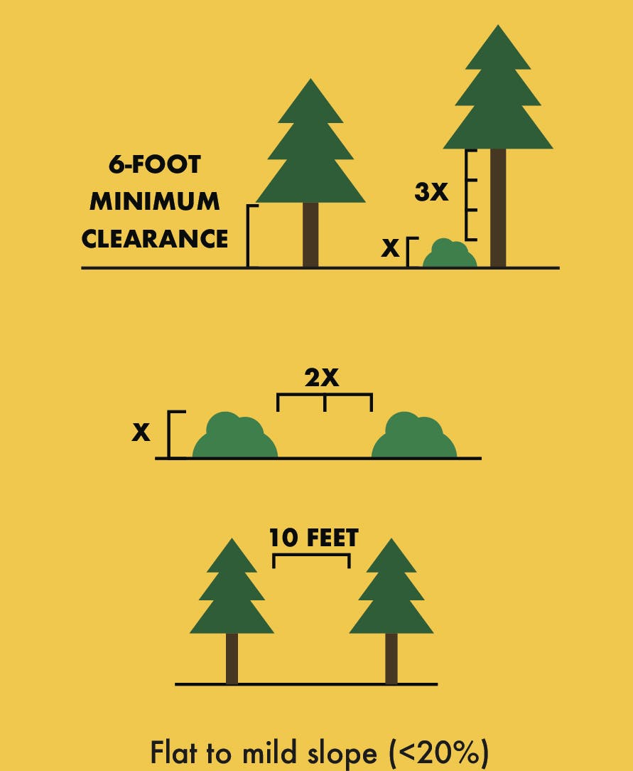 Tree spacing guide: 6-foot clearance, 3x shrub height, 2x shrub distance, 10-foot tree distance, flat to mild slope (<20%).