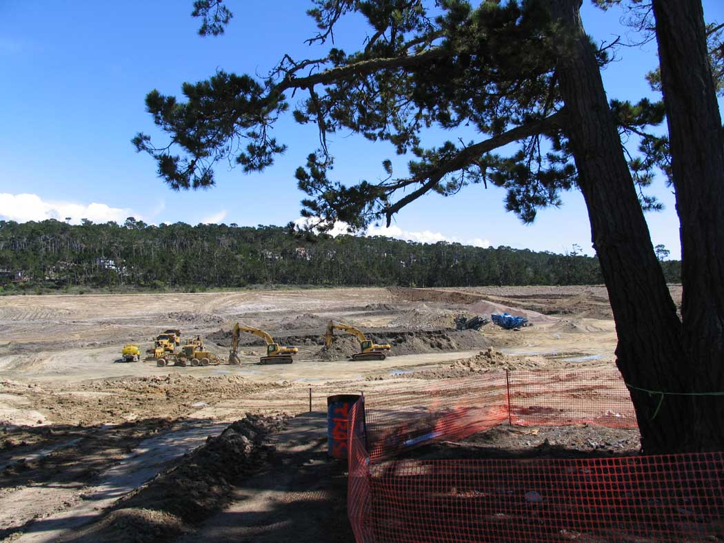 Construction site with excavators, dump trucks, and cleared land, bordered by trees under a blue sky.