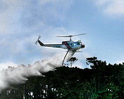 Helicopter spraying over trees.