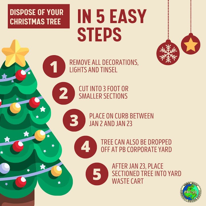 Tips for disposing of your Christmas tree in 5 steps: remove decorations, cut into sections, place curbside, drop off, or use yard waste cart.