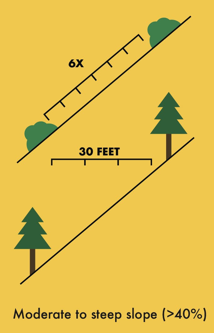 Diagram of slopes with trees: a 6X slope and a 30 feet slope (>40% gradient).