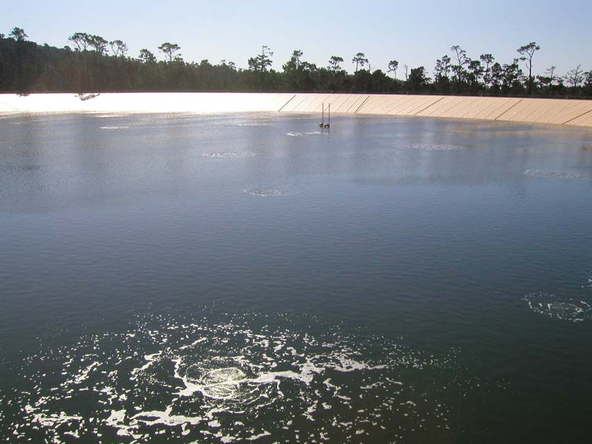 A water reservoir with a reflective surface, surrounded by trees and sunlight glistening on the water.