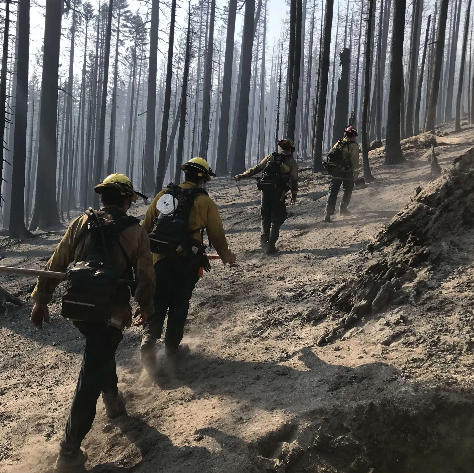 Firefighters walk through a burned forest, surrounded by charred trees and smoke, as they respond to a wildfire.