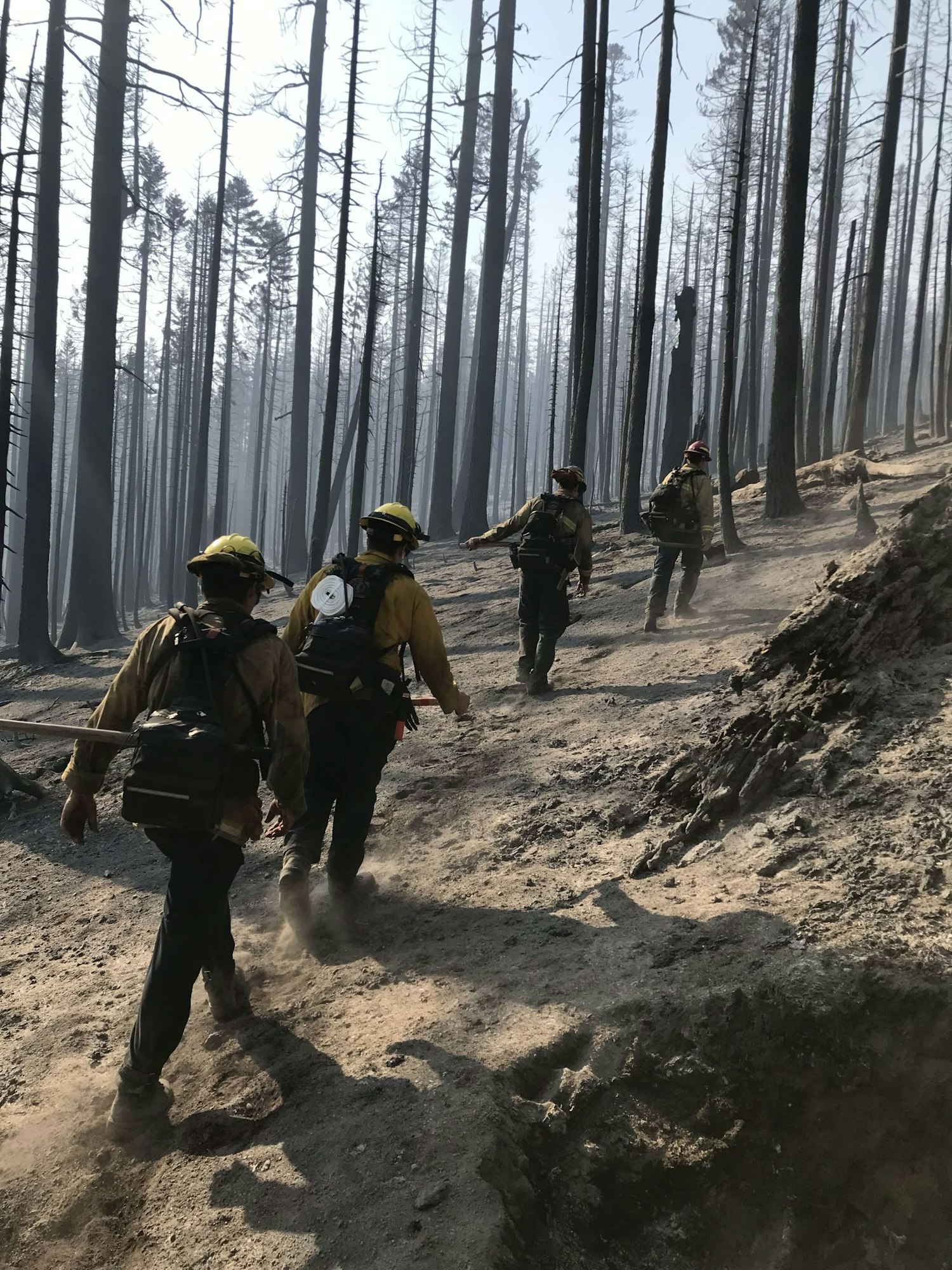 Firefighters walk through a burned forest, surrounded by charred trees and smoke, as they respond to a wildfire.