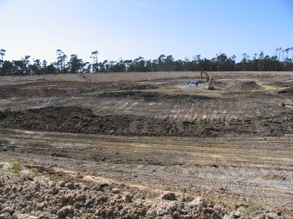 Land cleared for construction with an excavator in the background and tire tracks on the ground.