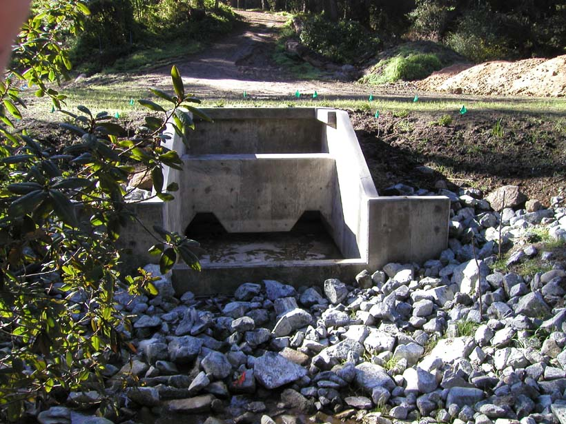 Concrete culvert under a dirt road, surrounded by rocks and vegetation.