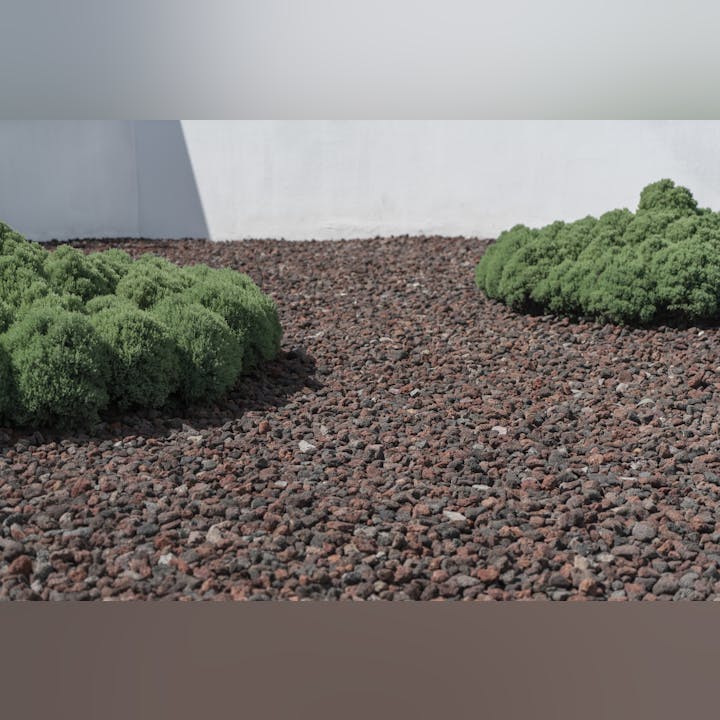 Lush green shrubs surrounded by reddish-brown rocky gravel in front of a white wall.