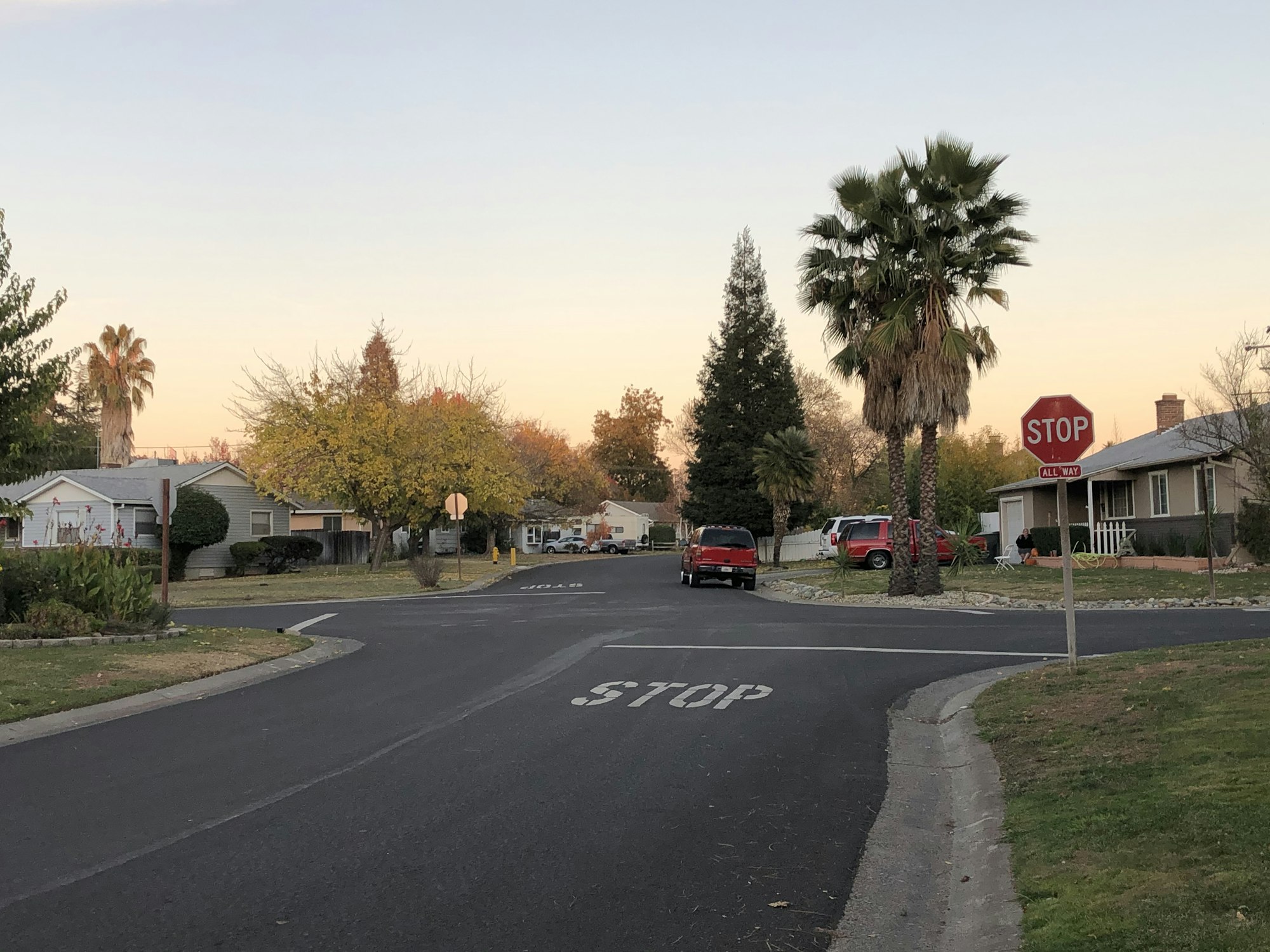 May contain: road, tarmac, asphalt, tree, plant, abies, fir, intersection, and freeway