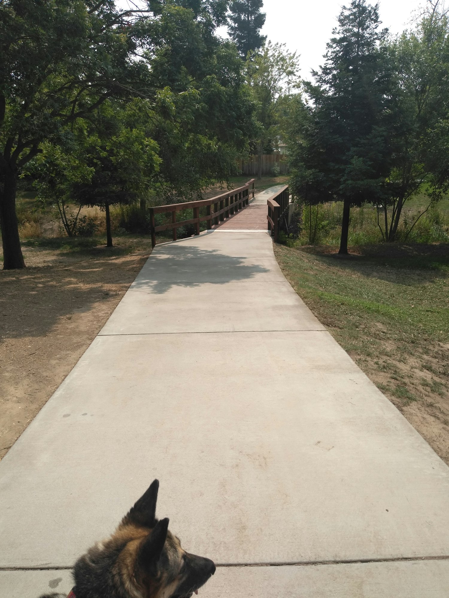May contain: path, sidewalk, and pavement