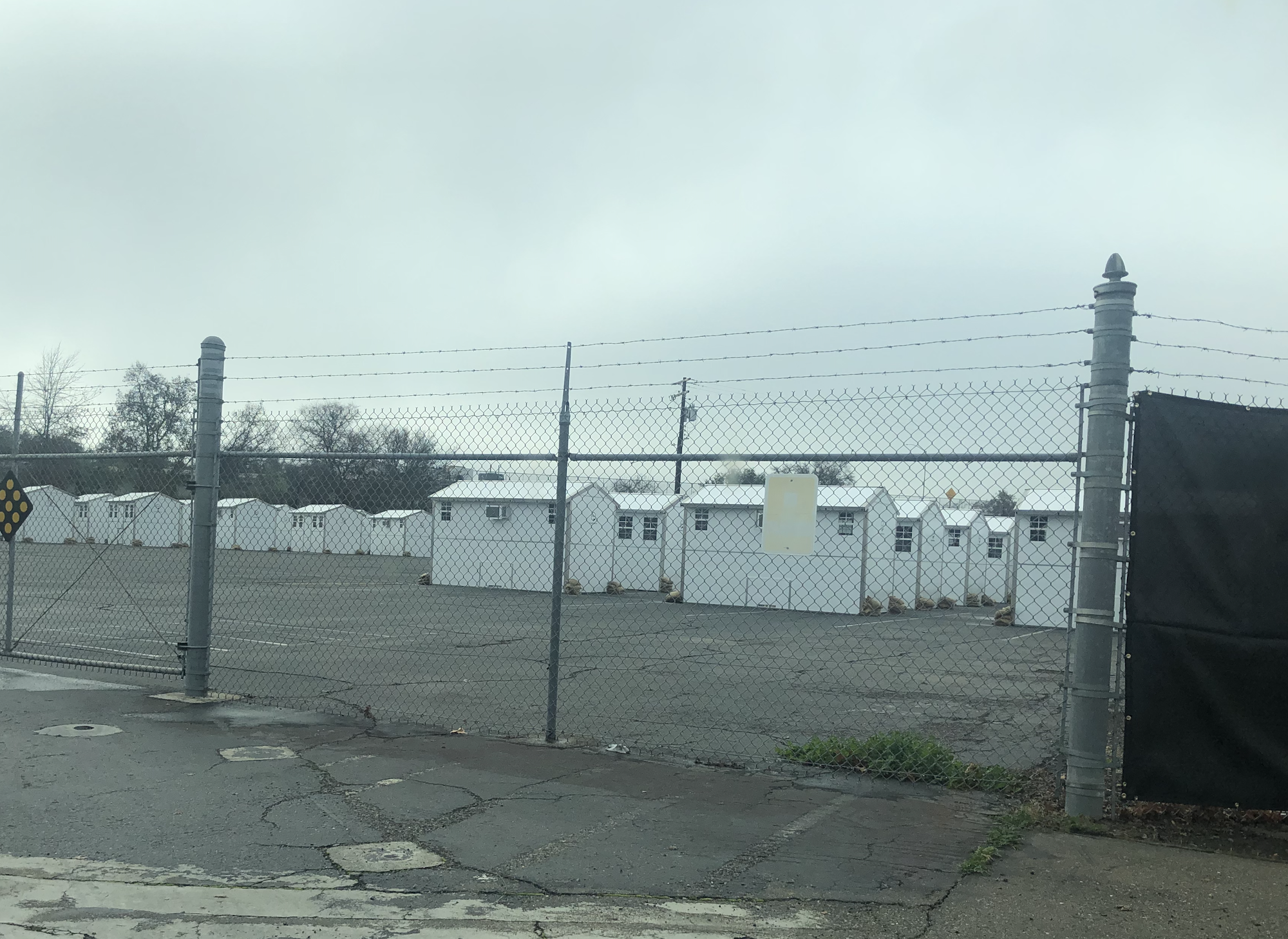Photo of tiny homes, AKA "Steiny Homes", at Roseville Road site