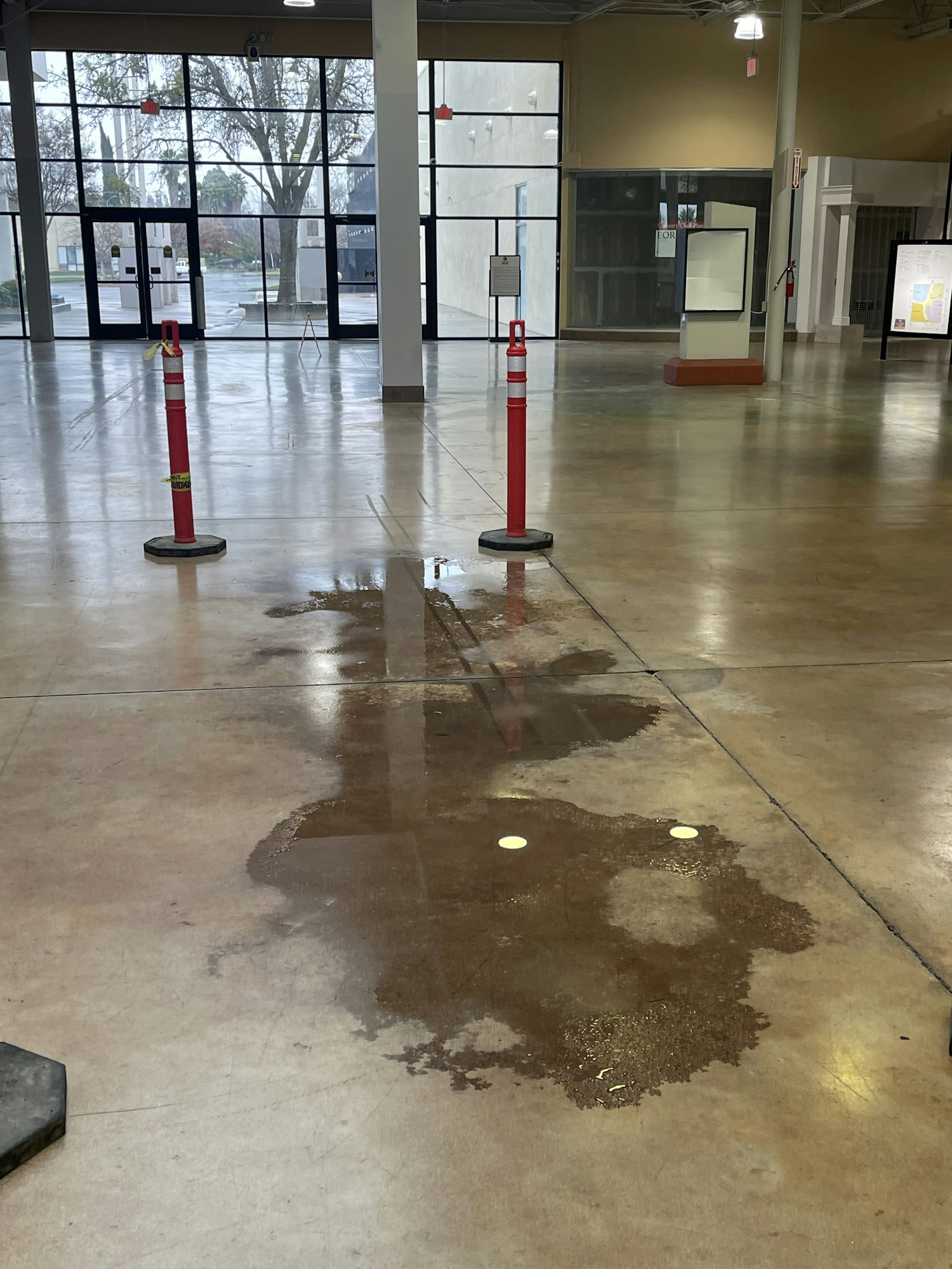 A wet floor with red caution cones inside a large, mostly empty building with glass windows.