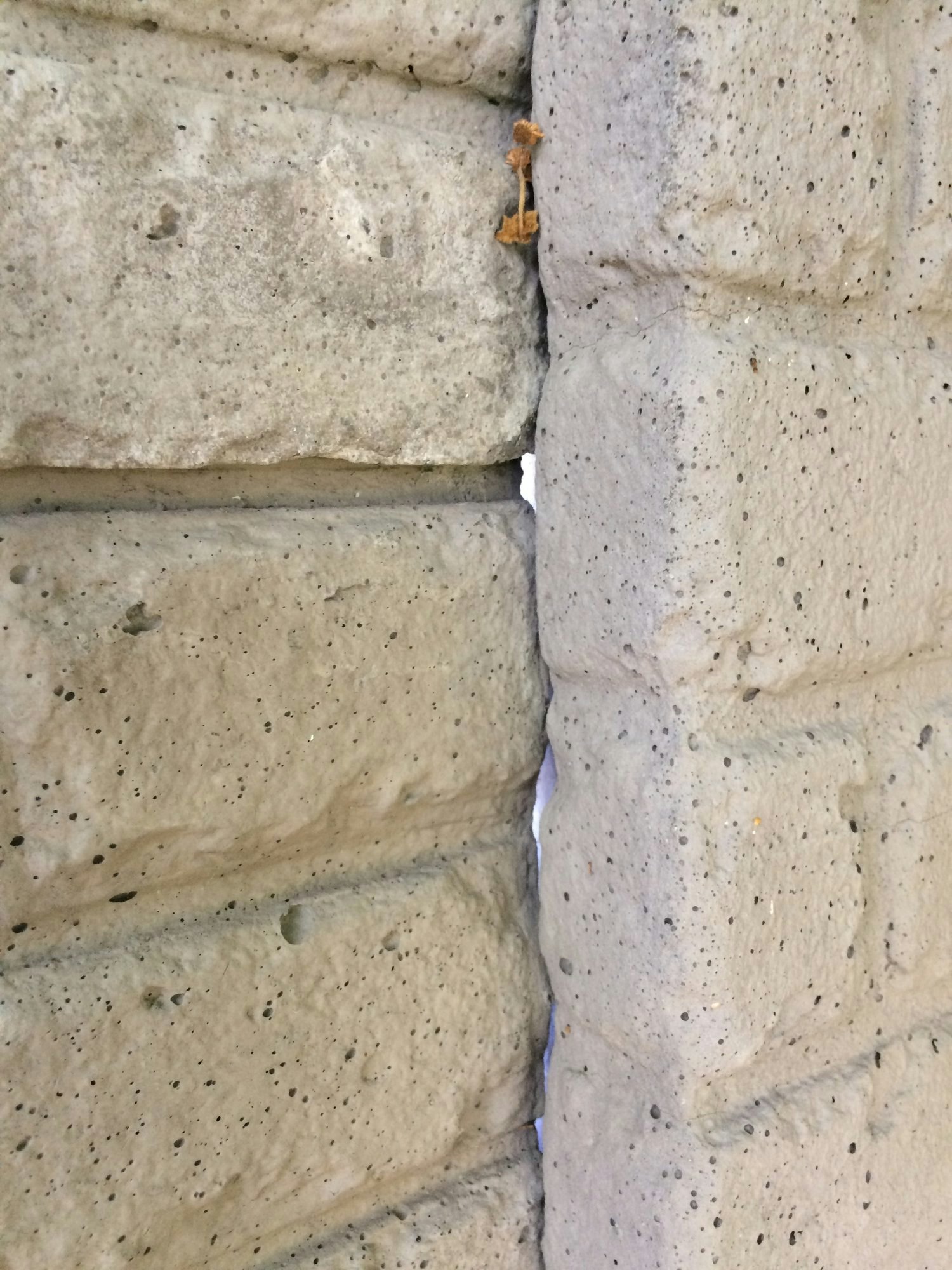 May contain: path, walkway, limestone, and concrete