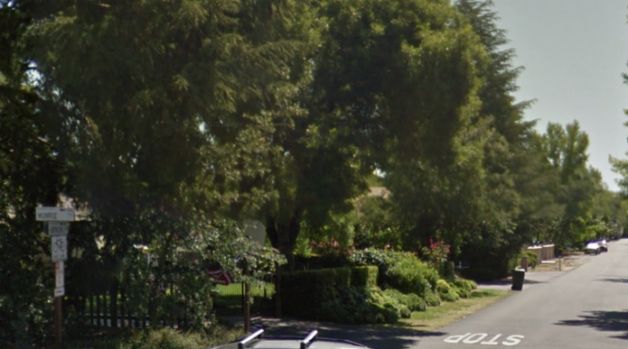 May contain: vegetation, plant, road, tarmac, asphalt, land, woodland, nature, forest, tree, and outdoors