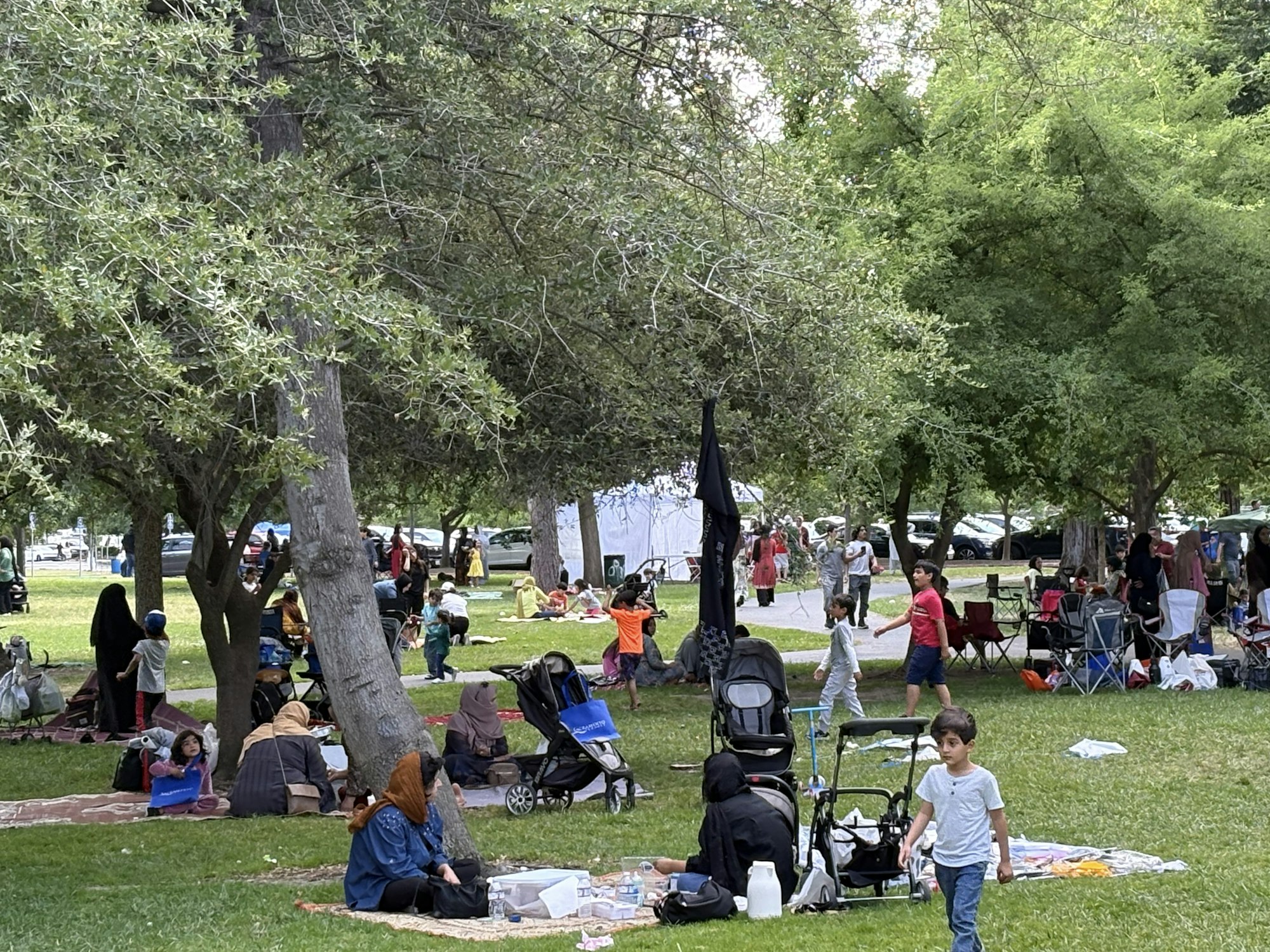 People enjoying a picnic in a park, surrounded by trees. Various groups are sitting on blankets, and some children are playing.