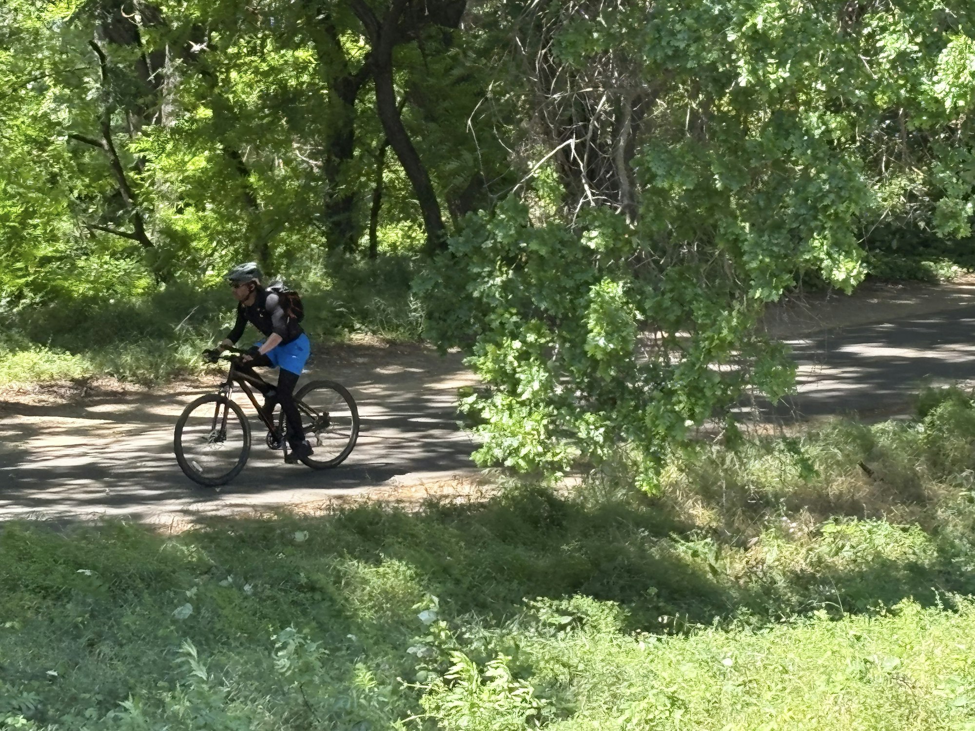 A person biking on a trail through a lush, green wooded area.