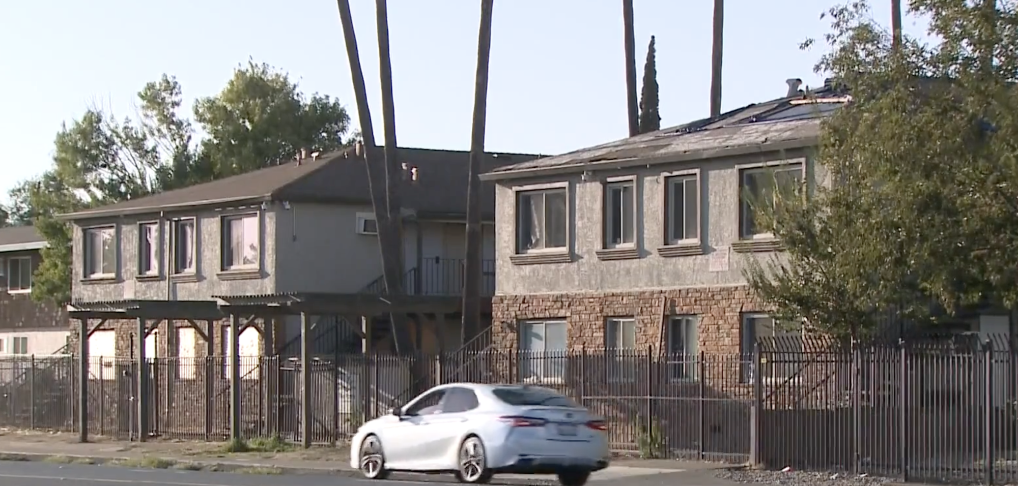 Run-down apartment buildings behind a wrought iron fenced, with tall palm trees and a white car driving by.