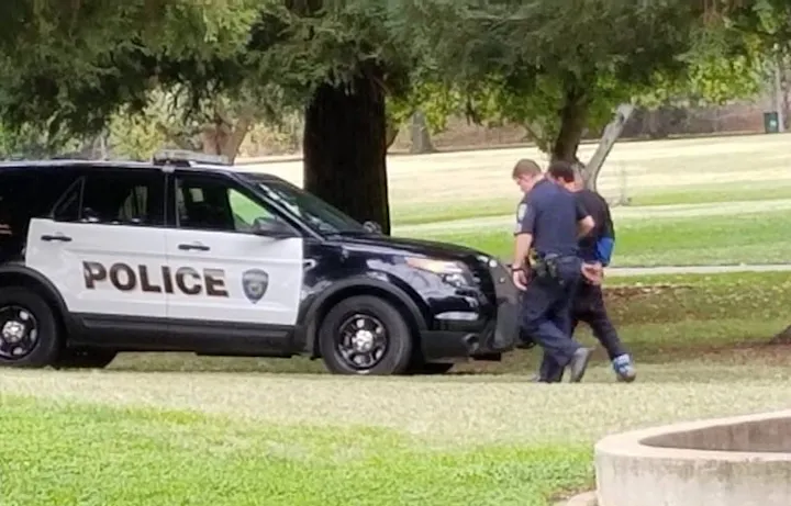 A police officer is escorting an individual near a police vehicle in a grassy area, likely involved in an arrest or questioning.