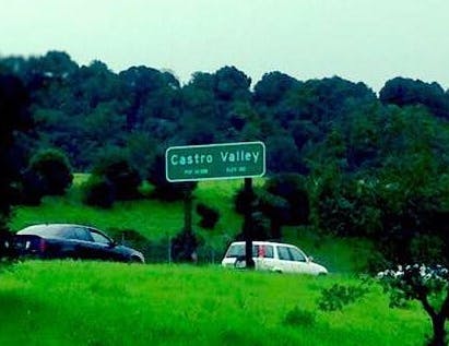 May contain: road, green, grass, and plant