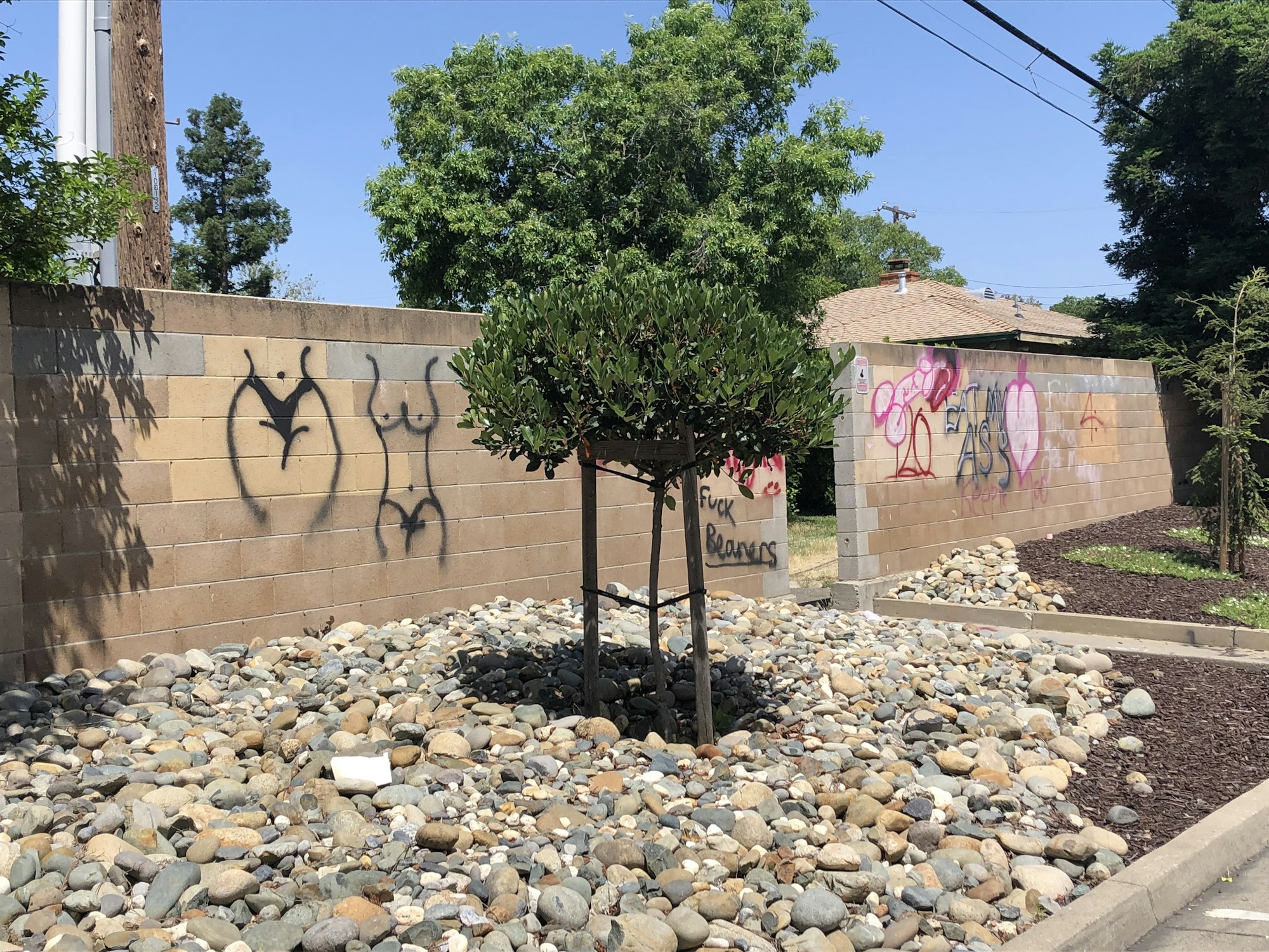 gradfiti, truck, building, wall, tree