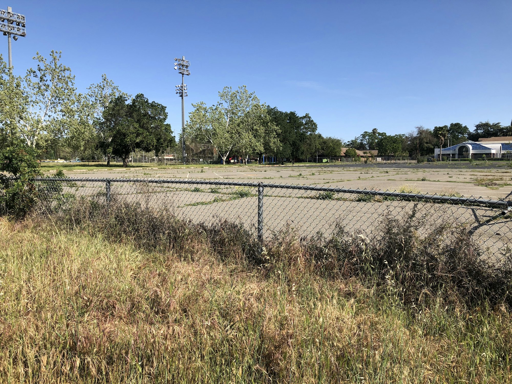 May contain: grass and plant