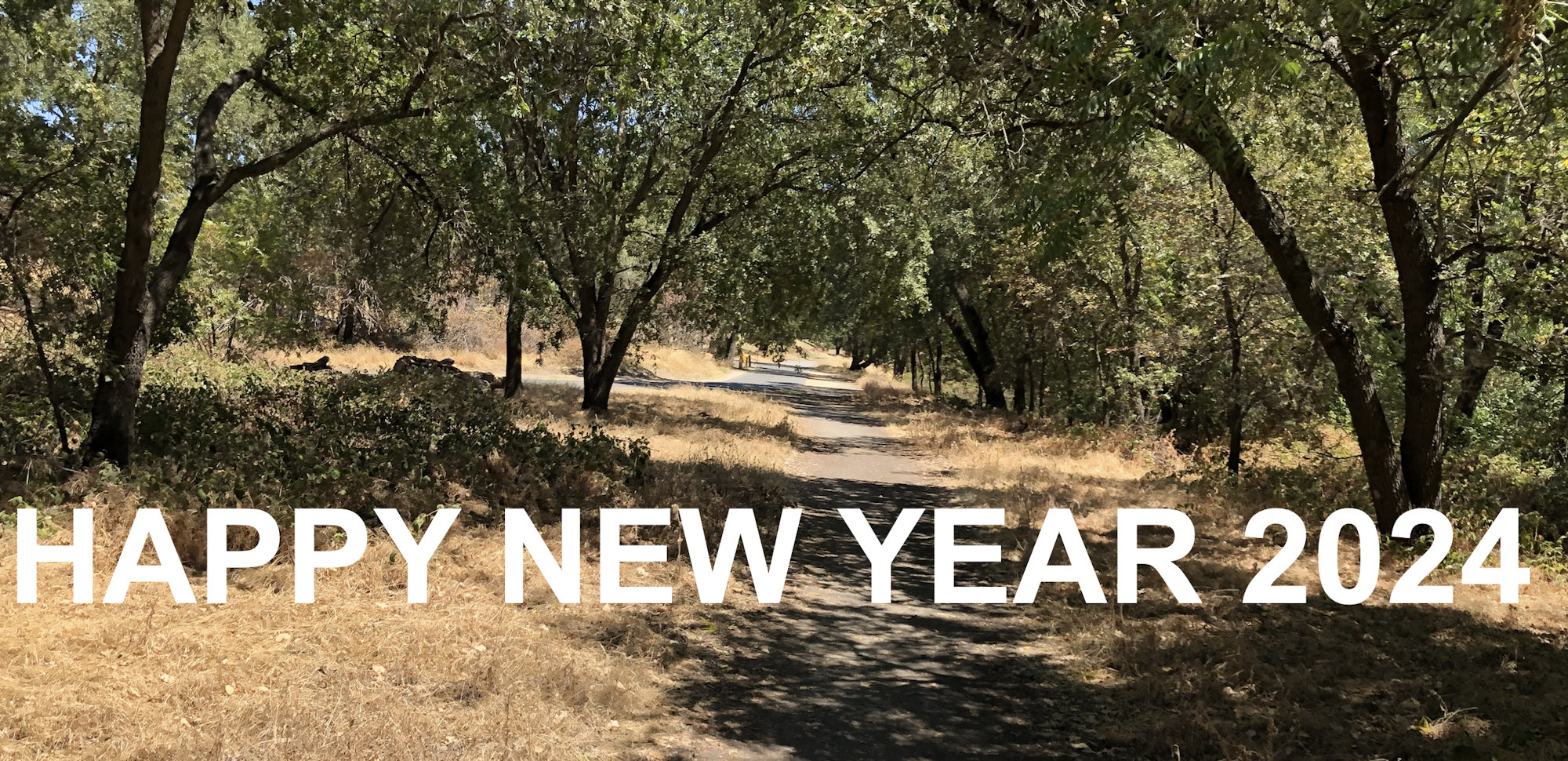 May contain: grove, land, nature, outdoors, plant, tree, vegetation, woodland, wilderness, path, trail, grass, park, jungle, oak, sycamore, scenery, and landscape